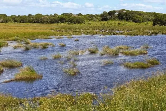 Framed Print : Landscape of Isimangaliso wetland park in South Africa Framed Print : Landscape of Isimangaliso wetland park in South Africa
