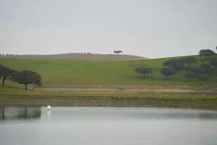 Framed Print : Landscape in lake reservoir dam of Alqueva with trees in Alentejo, Portugal Framed Print : Landscape in lake reservoir dam of Alqueva with trees in Alentejo, Portugal
