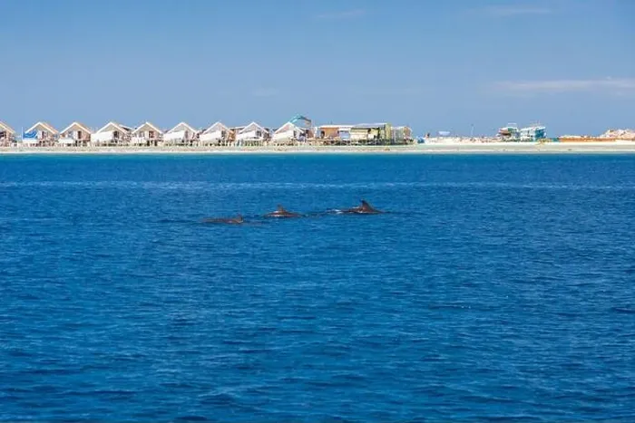 Framed Print : Landscape in Maldives Islands and over water villas and bungalows with group of dolphins swimming Framed Print : Landscape in Maldives Islands and over water villas and bungalows with group of dolphins swimming