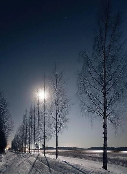 Landscape with moonlight and trees shadows at winter time