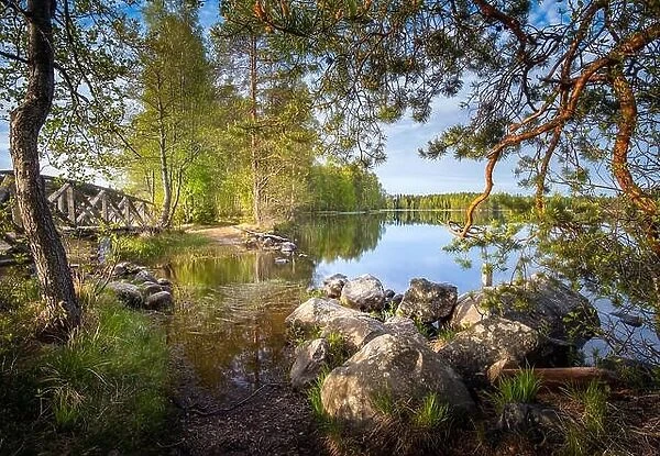 Landscape from national park at bright summer morning in Liesjärvi, Finland
