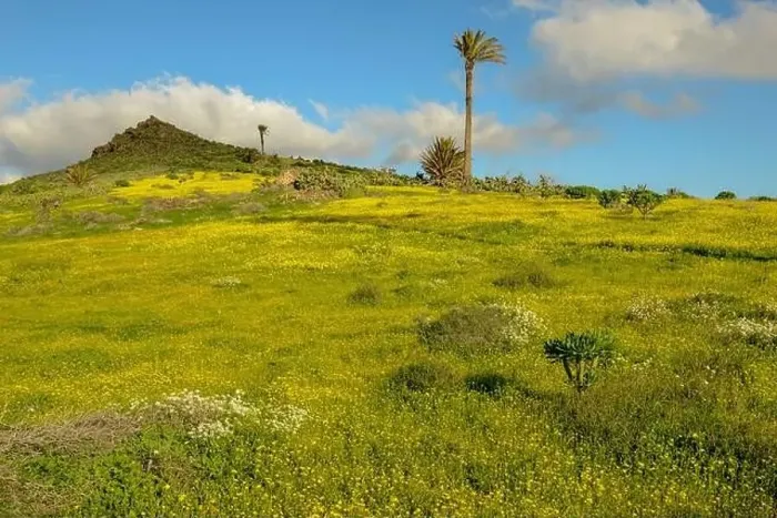 Framed Print : Landscape near Haria at Lanzarote on Canary island in Spain Framed Print : Landscape near Haria at Lanzarote on Canary island in Spain
