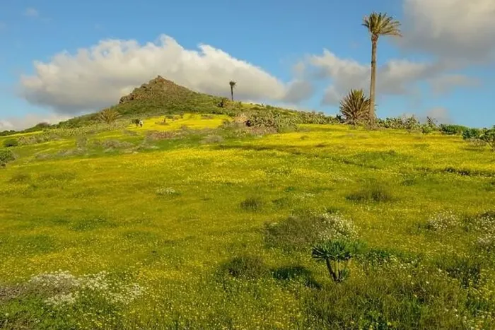 Framed Print : Landscape near Haria at Lanzarote on Canary island in Spain Framed Print : Landscape near Haria at Lanzarote on Canary island in Spain