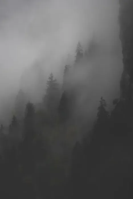 Framed Print : Landscape photography of the French Alps on a foggy morning Framed Print : Landscape photography of the French Alps on a foggy morning