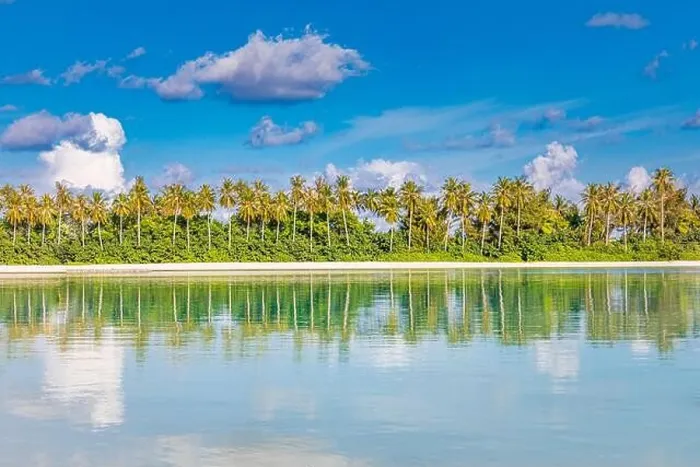 Framed Print : Landscape reflections of coconut trees in perfect symmetry, sunny tropical island beach. Meditation wallpaper, balance in nature, beauty in nature