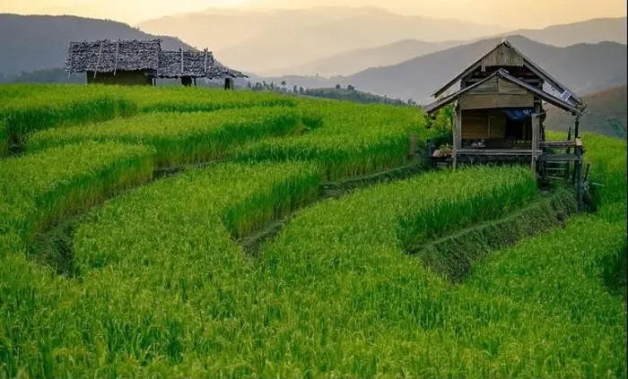 Framed Print : Landscape of rice terrace and hut with mountain range background and beautiful sunrise sky Framed Print : Landscape of rice terrace and hut with mountain range background and beautiful sunrise sky