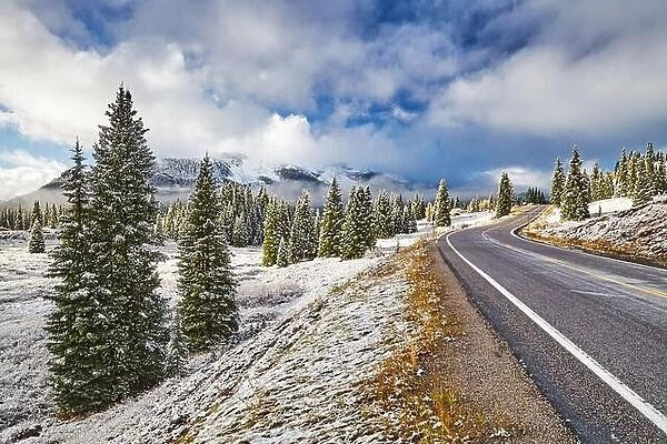 Landscape with snowy mountains and forest, Highway 550, Colorado, USA