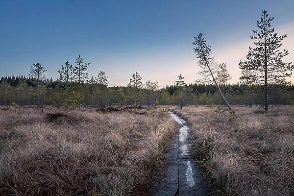 Landscape with sunset at evening in swamp Finland