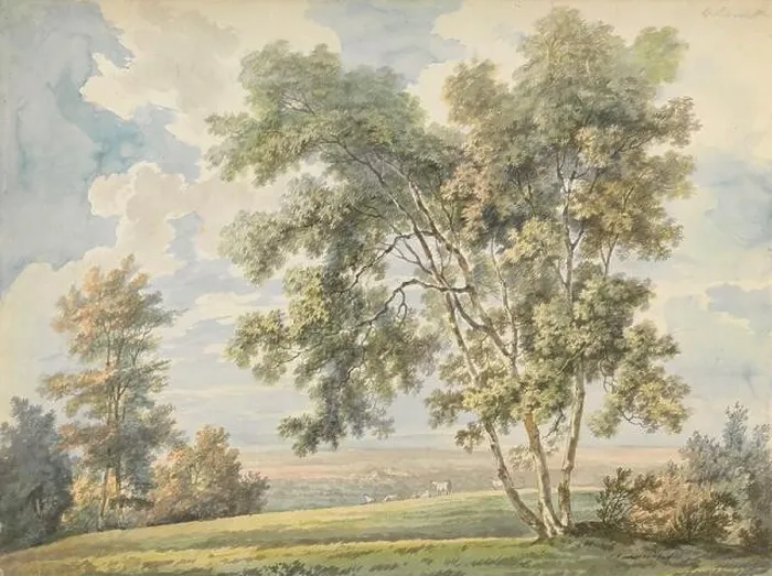 Framed Print : Landscape with Trees and Sheep (Park Landscape with Sheep) Framed Print : Landscape with Trees and Sheep (Park Landscape with Sheep)