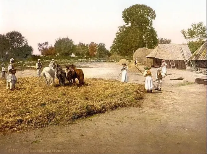 Framed Print : Landwirtschaft, Ackerbau, Dreschen von Getreide