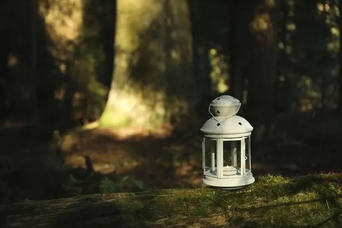 Framed Print : Lantern with burning candle on log in forest Framed Print : Lantern with burning candle on log in forest