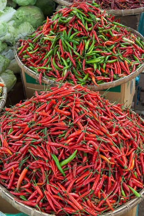Framed Print : Laos, Southern Laos, Bolaven Plateau, Thateng market, fresh red and green chilli peppers Framed Print : Laos, Southern Laos, Bolaven Plateau, Thateng market, fresh red and green chilli peppers