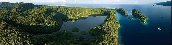A large marine lake is found within beautiful limestone islands that rise from West Papua's seascape. Marine lakes are enclosed saltwater ecosystems