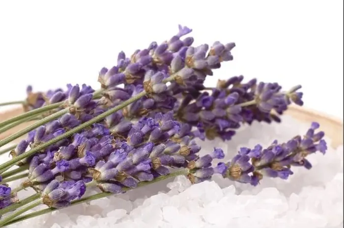 Framed Print : Lavender bath items isolated on the white backround. fresh flowers and salt Framed Print : Lavender bath items isolated on the white backround. fresh flowers and salt