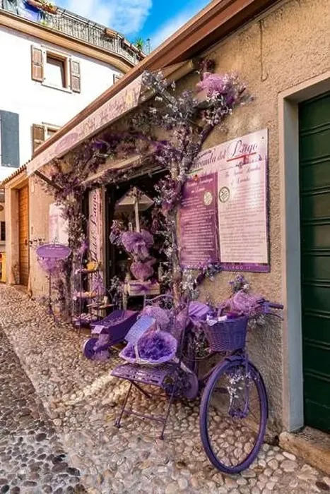 Framed Print : Lavender store, Malcesine, Lake Garda, Italy, Europe Framed Print : Lavender store, Malcesine, Lake Garda, Italy, Europe
