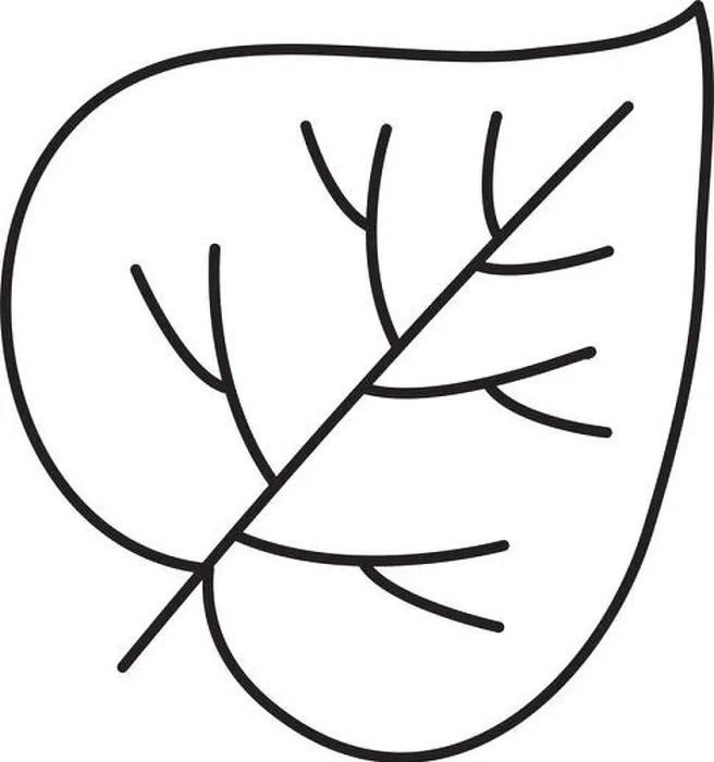 Framed Print : leaf in heart shape over white background, line style, vector illustration Framed Print : leaf in heart shape over white background, line style, vector illustration