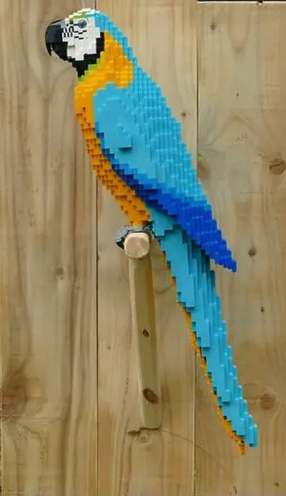 Framed Print : Lego parrot Framed Print : Lego parrot