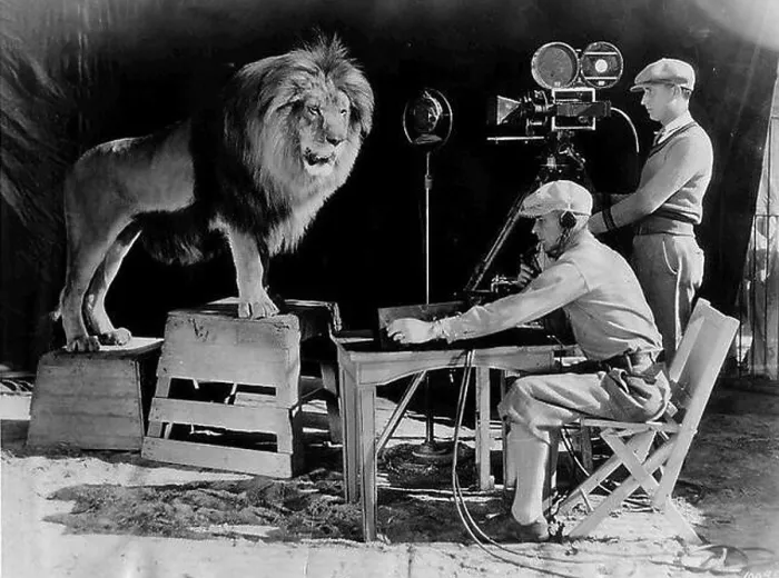 Framed Print : Leo the MGM lion, first introduced in 1928 Framed Print : Leo the MGM lion, first introduced in 1928