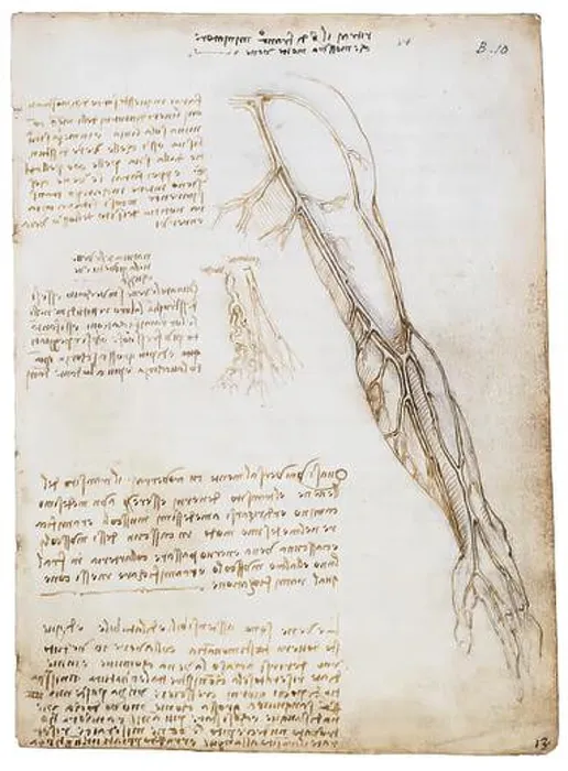 Framed Print : Leonardo Da Vinci, The Veins of the Arm (with deatail) Framed Print : Leonardo Da Vinci, The Veins of the Arm (with deatail)