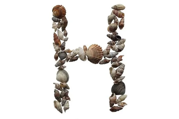 Framed Print : Letter H, summer concept idea. Letter H made with sea shell isolated on white background Framed Print : Letter H, summer concept idea. Letter H made with sea shell isolated on white background