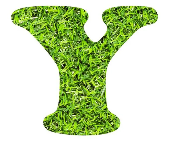 Framed Print : Letter Y - Artificial green grass background Framed Print : Letter Y - Artificial green grass background