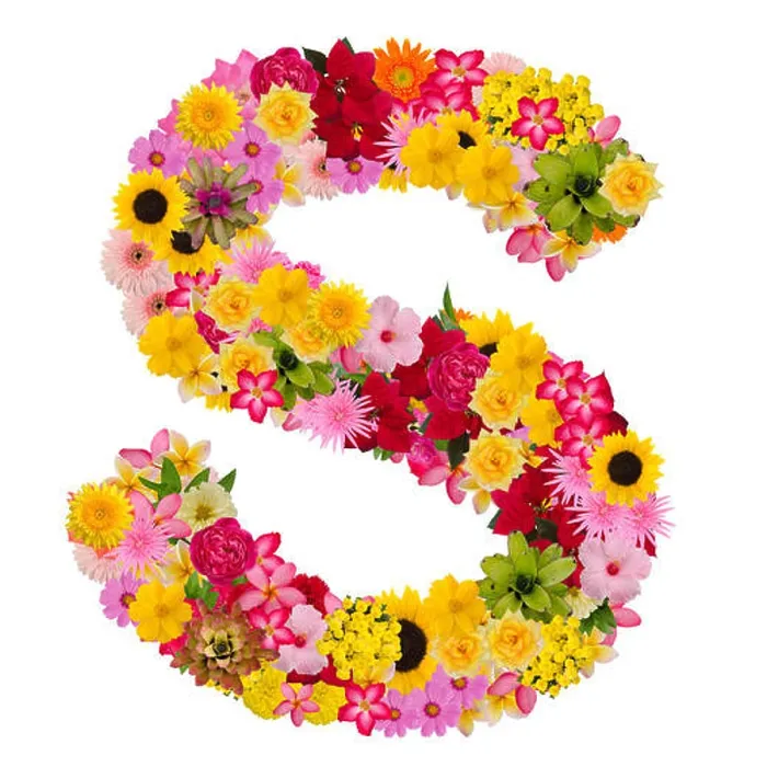 Framed Print : Letters alphabet with flower ABC concept type as logo isolated on white background. With clipping path Framed Print : Letters alphabet with flower ABC concept type as logo isolated on white background. With clipping path