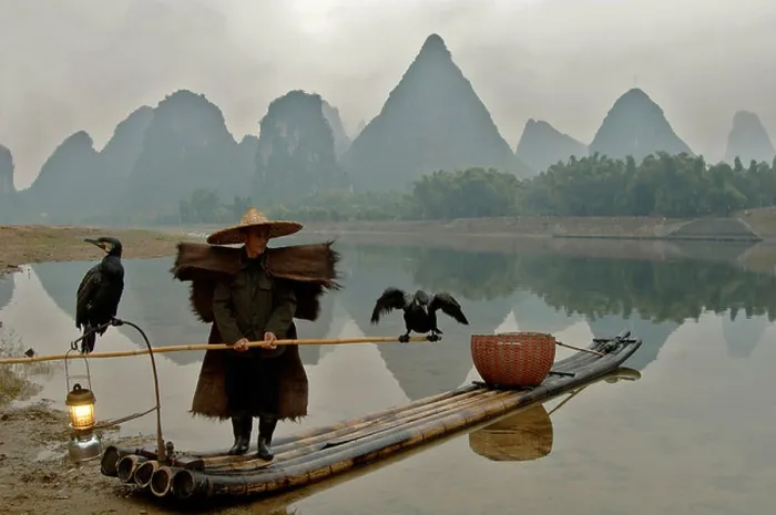 Framed Print : Li River fisherman wearing palm leaf rain cape on bamboo raft with cormorants Framed Print : Li River fisherman wearing palm leaf rain cape on bamboo raft with cormorants