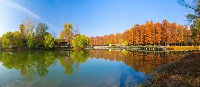 Framed Print : Liberation Park late autumn aerial scenery in Wuhan, Hubei, China Framed Print : Liberation Park late autumn aerial scenery in Wuhan, Hubei, China