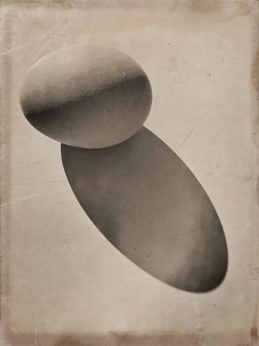 Framed Print : Still life image of a Single egg and it's shadow Framed Print : Still life image of a Single egg and it's shadow