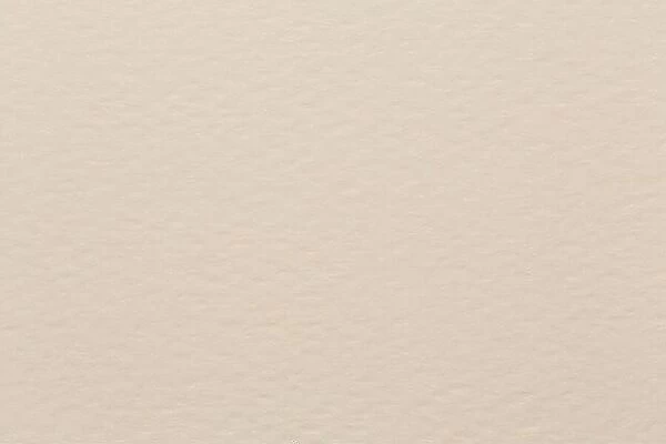 Light beige tone paper abstract background, texture, pattern