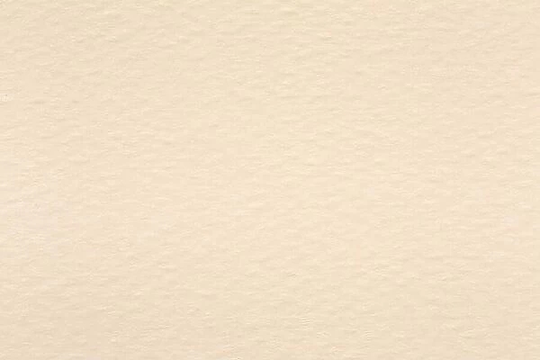 Light beige tone shading paper background. Bright texture for your project
