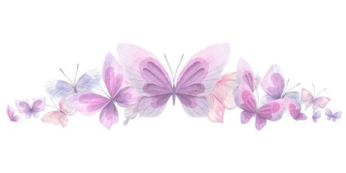 Framed Print : Lilac, pink and blue butterflies Framed Print : Lilac, pink and blue butterflies