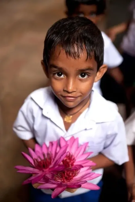 Framed Print : Little boy with pink water lilies in the Temple of the Tooth in Sri Dalada Maligawa, Kandy, Sri Lanka, Asia Framed Print : Little boy with pink water lilies in the Temple of the Tooth in Sri Dalada Maligawa, Kandy, Sri Lanka, Asia