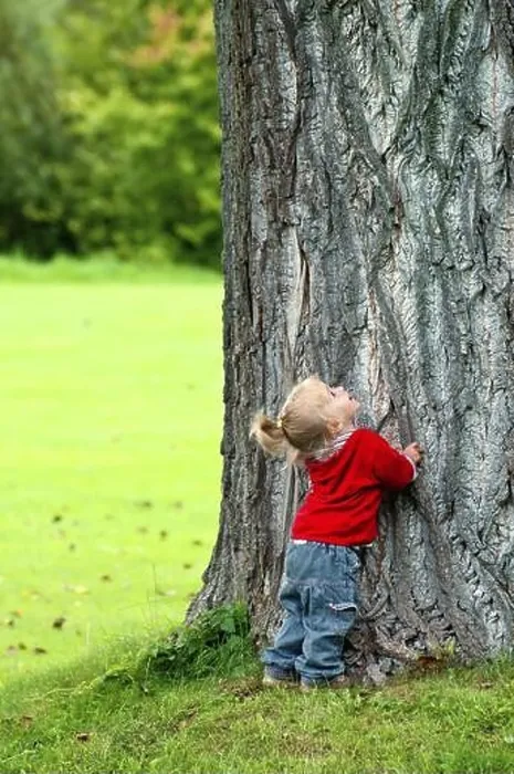 Framed Print : Little girl stands at the base of a very large tree and looks up in amazement. Little girl stands at the base of a very large tree and looks up Framed Print : Little girl stands at the base of a very large tree and looks up in amazement. Little girl stands at the base of a very large tree and looks up