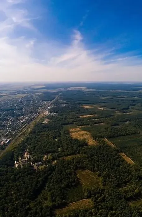 Framed Print : Local deforestation, aerial deforestation areas, Ukrainian forests and their destruction. new Framed Print : Local deforestation, aerial deforestation areas, Ukrainian forests and their destruction. new