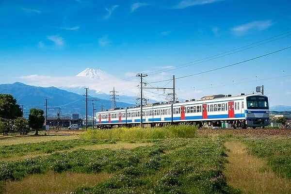 A local train of JR Izuhakone Tetsudo-Sunzu Line traveling through the countryside on a sunny spring day and Mt. Fuji in Mishima, Shizuoka, Japan. Rai