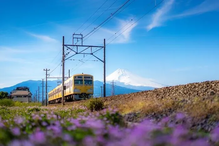 Framed Print : A local train of JR Izuhakone Tetsudo-Sunzu Line traveling through the countryside on a sunny spring day and Mt. Fuji in Mishima, Shizuoka, Japan Framed Print : A local train of JR Izuhakone Tetsudo-Sunzu Line traveling through the countryside on a sunny spring day and Mt. Fuji in Mishima, Shizuoka, Japan