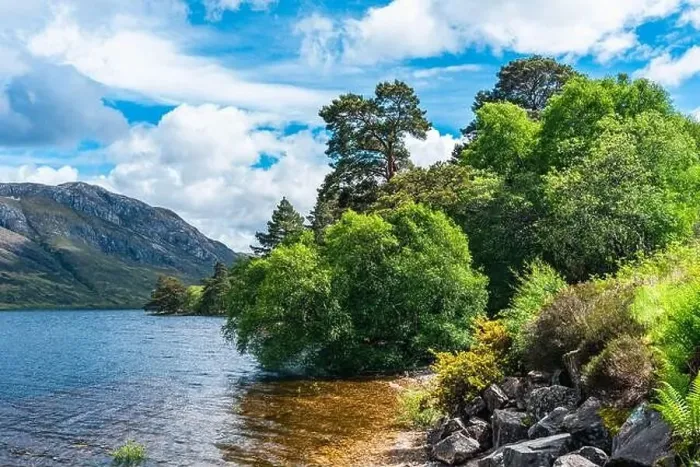 Framed Print : Loch Maree and Slioch, Wester Ross, Beinn Eighe National Nature Reserve, Highland, Scotland, UK Framed Print : Loch Maree and Slioch, Wester Ross, Beinn Eighe National Nature Reserve, Highland, Scotland, UK