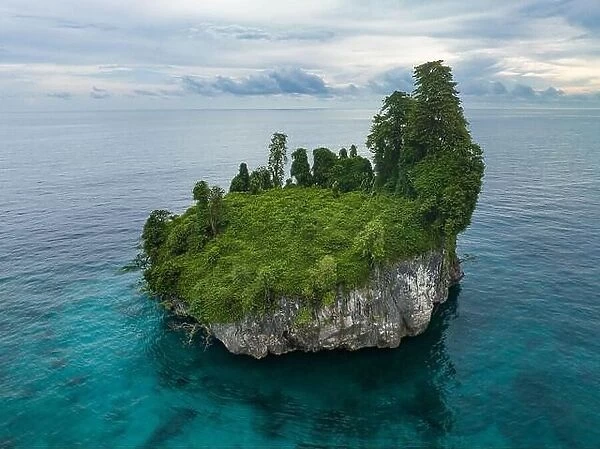 A lone limestone island, covered by vegetation, rises from West Papua's seascape. This remote part of Indonesia is known for its high biodiversity