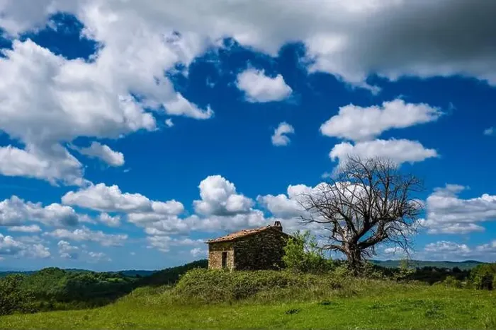 Framed Print : Lonely farmers house with a solitude dead tree on top of a hill, wooded landscape in the distance Framed Print : Lonely farmers house with a solitude dead tree on top of a hill, wooded landscape in the distance
