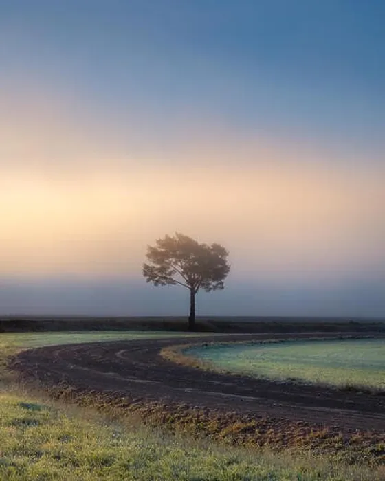 Framed Print : Lonely tree against a blue sky at sunrise. Autumn landscape with a lone tree with foggy in Finland Framed Print : Lonely tree against a blue sky at sunrise. Autumn landscape with a lone tree with foggy in Finland