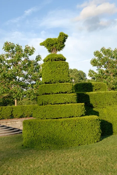 Framed Print : Longwood Gardens near Philadelphia Topiary Philadelphia Pennsylvania PA USA Framed Print : Longwood Gardens near Philadelphia Topiary Philadelphia Pennsylvania PA USA