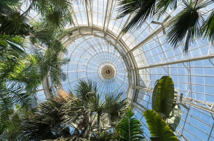 Framed Print : Looking upwards at glass roof of the pavilion of Enid A Framed Print : Looking upwards at glass roof of the pavilion of Enid A