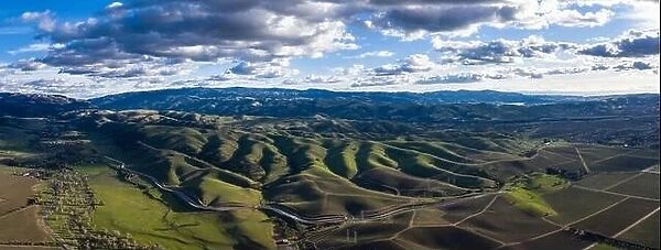 Low clouds drift over a green, peaceful landscape in Livermore, California. Some of the world's best vineyards exist in this Bay Area region