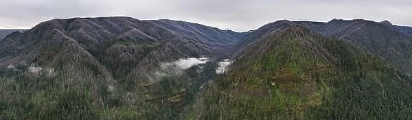 Low clouds drift in a mountainous valley in the Columbia River Gorge, Oregon. This area is known for its waterfalls, forests and the Columbia River