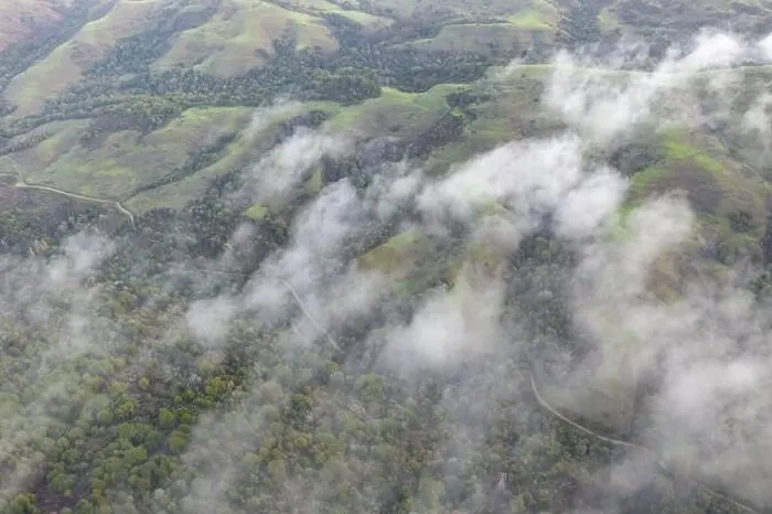 Framed Print : Low clouds drift across the rolling hills found east of San Francisco Bay, CA. This dry region turns green during the winter months due to rain