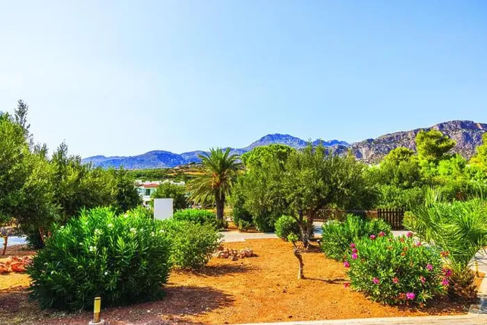 Framed Print : Lush garden with oleander bushes and palm tree in front of scenic mountain landscape on clear day. Crete. Greece Framed Print : Lush garden with oleander bushes and palm tree in front of scenic mountain landscape on clear day. Crete. Greece