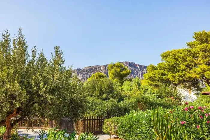 Framed Print : Lush garden with olive trees, flowering bushes, and view of rocky mountains under clear blue sky. Crete. Greece Framed Print : Lush garden with olive trees, flowering bushes, and view of rocky mountains under clear blue sky. Crete. Greece