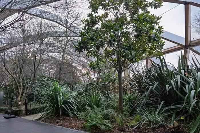 Framed Print : Lush greenery at Crossrail Place Roof Garden in Canary Wharf, London Framed Print : Lush greenery at Crossrail Place Roof Garden in Canary Wharf, London