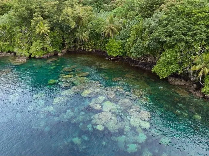 Framed Print : Lush jungle on a remote tropical island is fringed by a coral reef in the Solomon Islands. This country is home to spectacular marine biodiversity Framed Print : Lush jungle on a remote tropical island is fringed by a coral reef in the Solomon Islands. This country is home to spectacular marine biodiversity